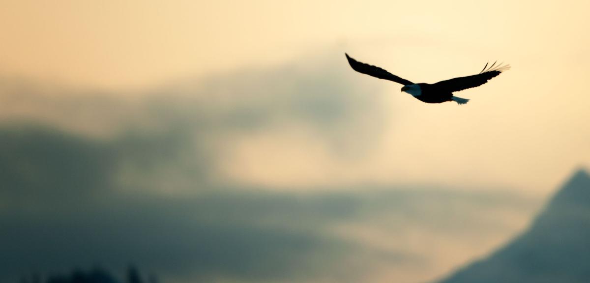 推動自由軟體進入技能檢定